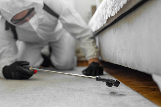 Professional Pest Control technician working in Hubbard County County, MN